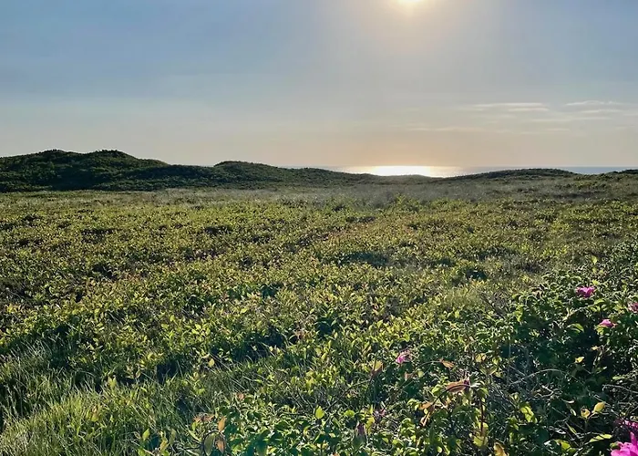 Appartamento Moderne Sylt-wohnung 